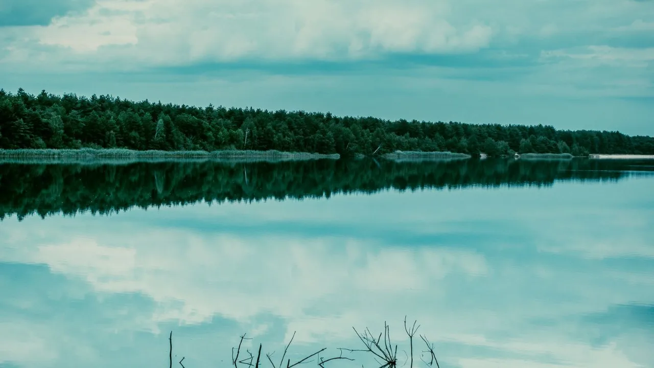 A glassy, calm lake reflecting a wooded far shore, its surface barely rippled.