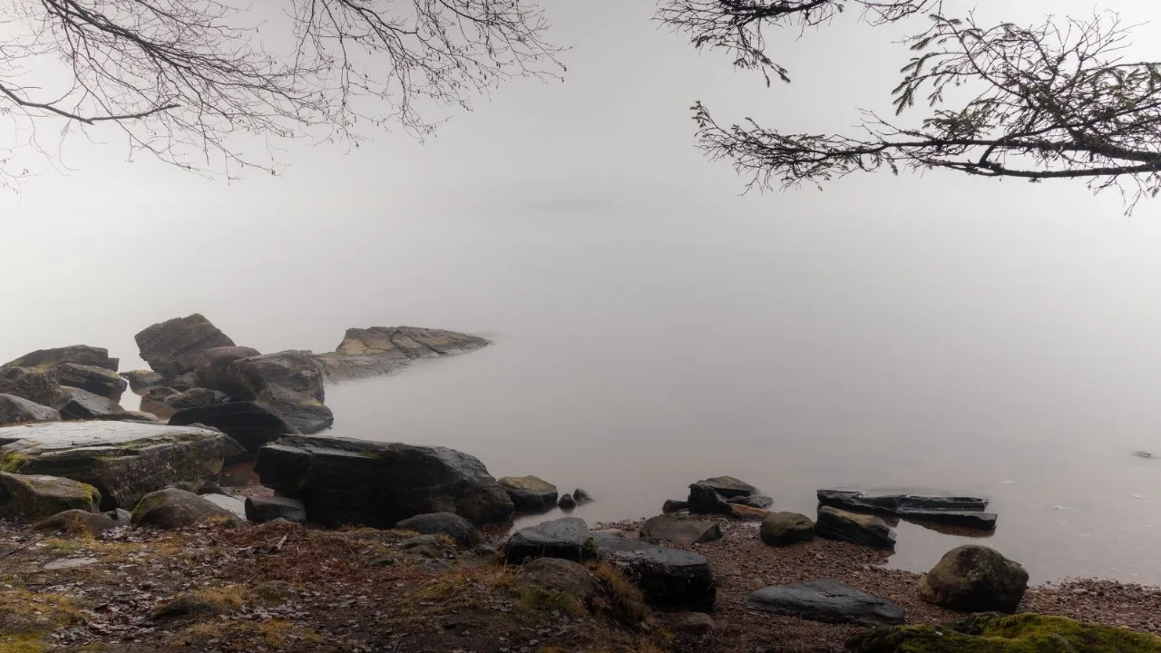 A still, steel-grey lake fading into fog, bare branches and rocks along the cold shore.