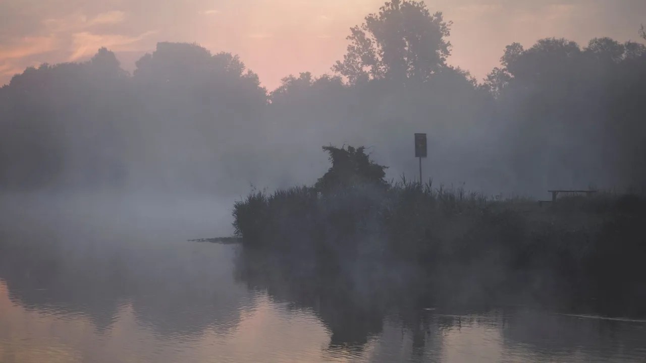 Mist rising off a still lake at dawn under a soft pink sky, reeds and trees fading into the fog.