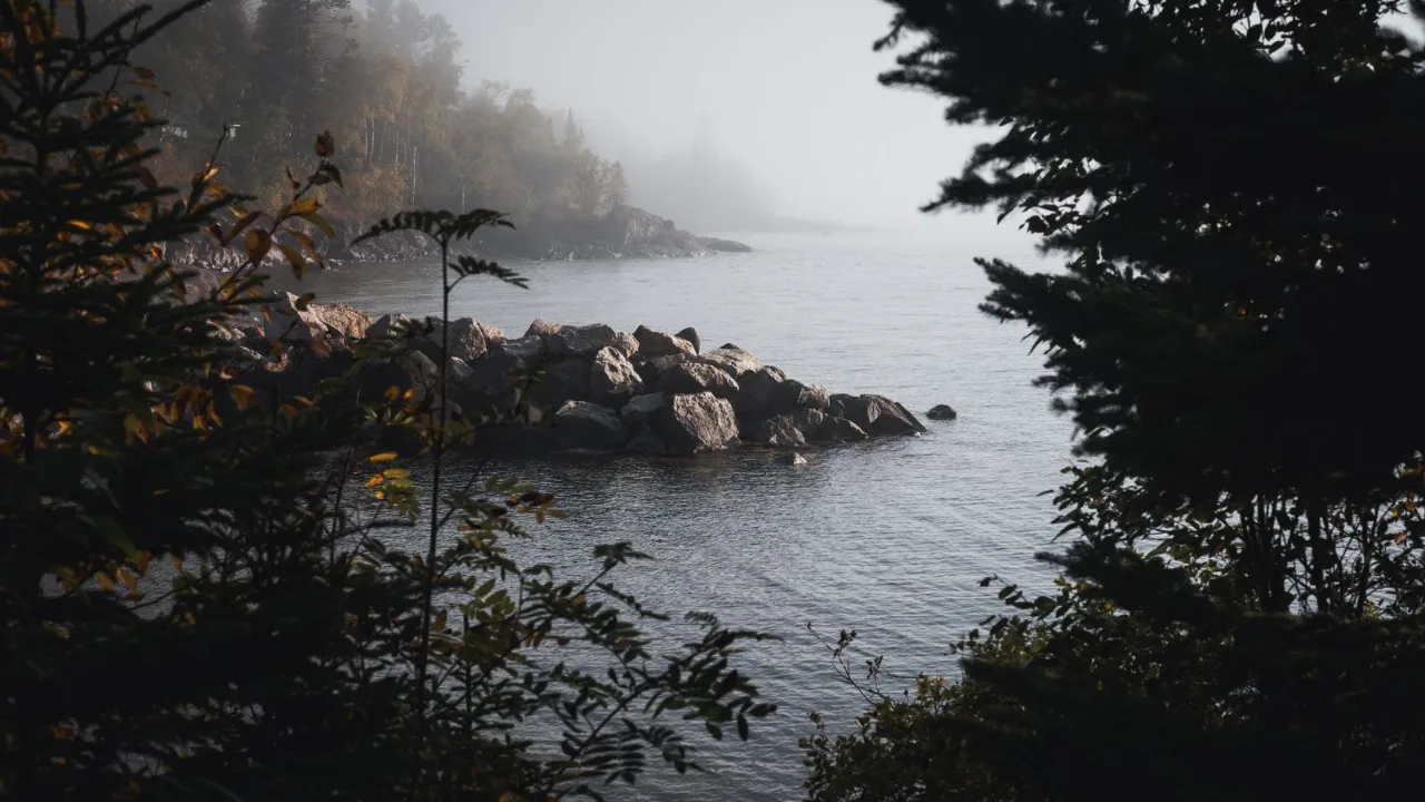 A calm, sheltered corner of a lake at dawn, still water in the foreground below a quiet wooded shore.