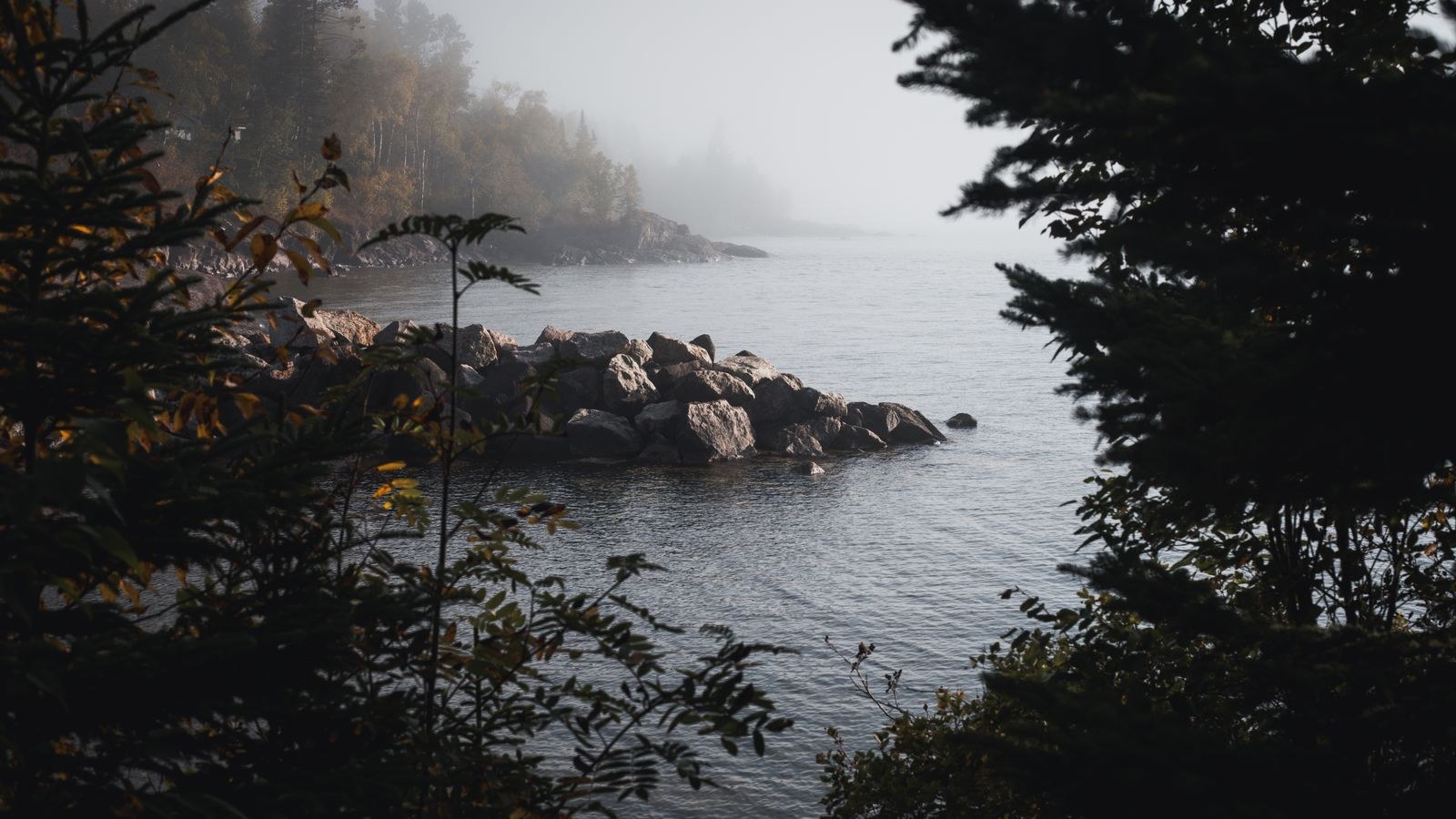 A calm, sheltered corner of a lake at dawn, still water in the foreground below a quiet wooded shore.