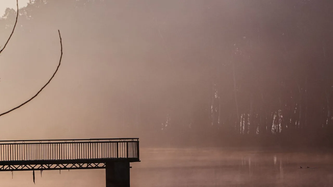A wooden jetty reaching into a still, misty lake at dawn, a fog-shrouded line of trees on the far shore.