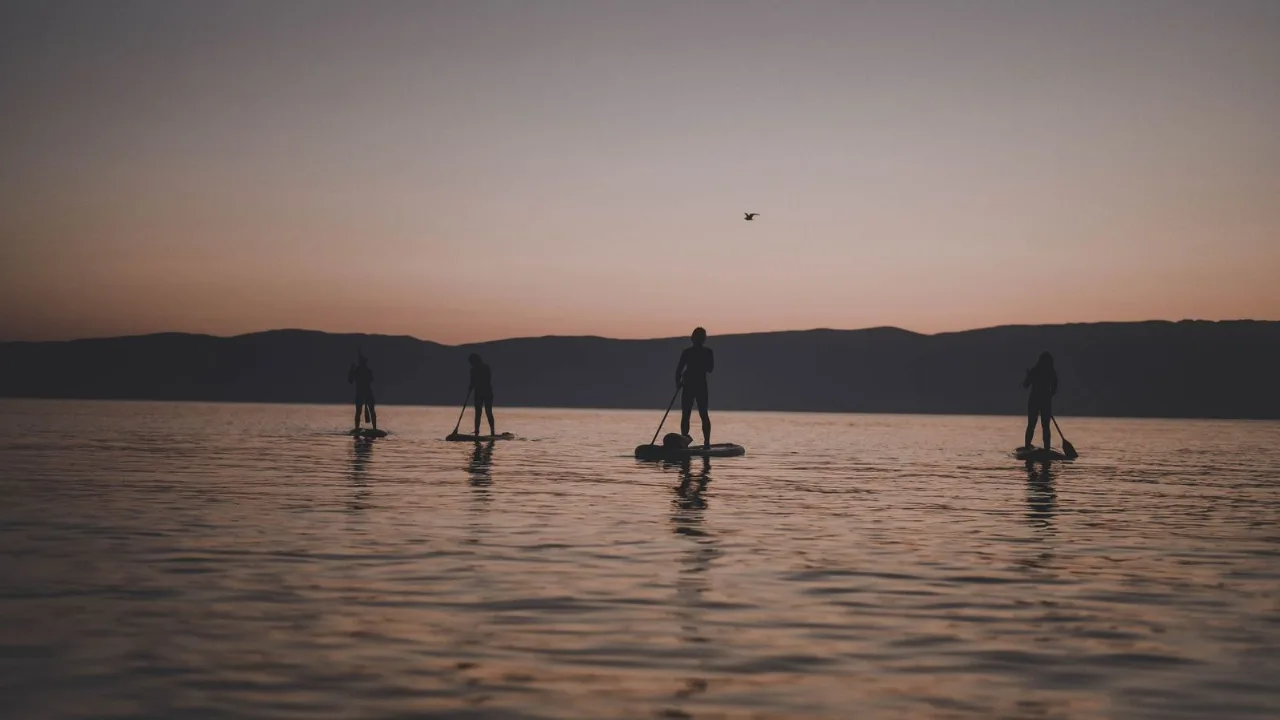 Four paddleboarders in silhouette gliding across calm water at dusk, low hills on the horizon.
