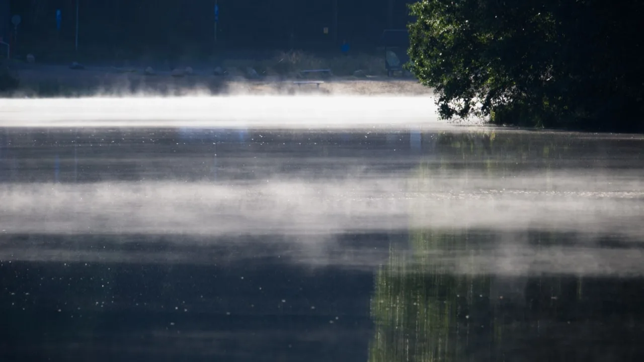 Mist lifting off a still lake at first light, the water calm and the far trees soft in the haze.