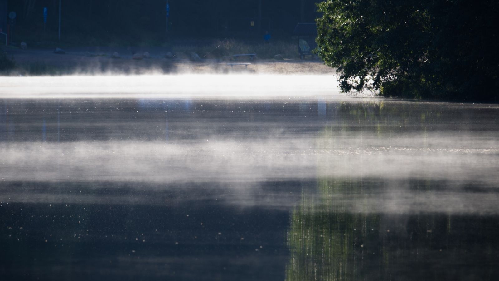 Mist lifting off a still lake at first light, the water calm and the far trees soft in the haze.