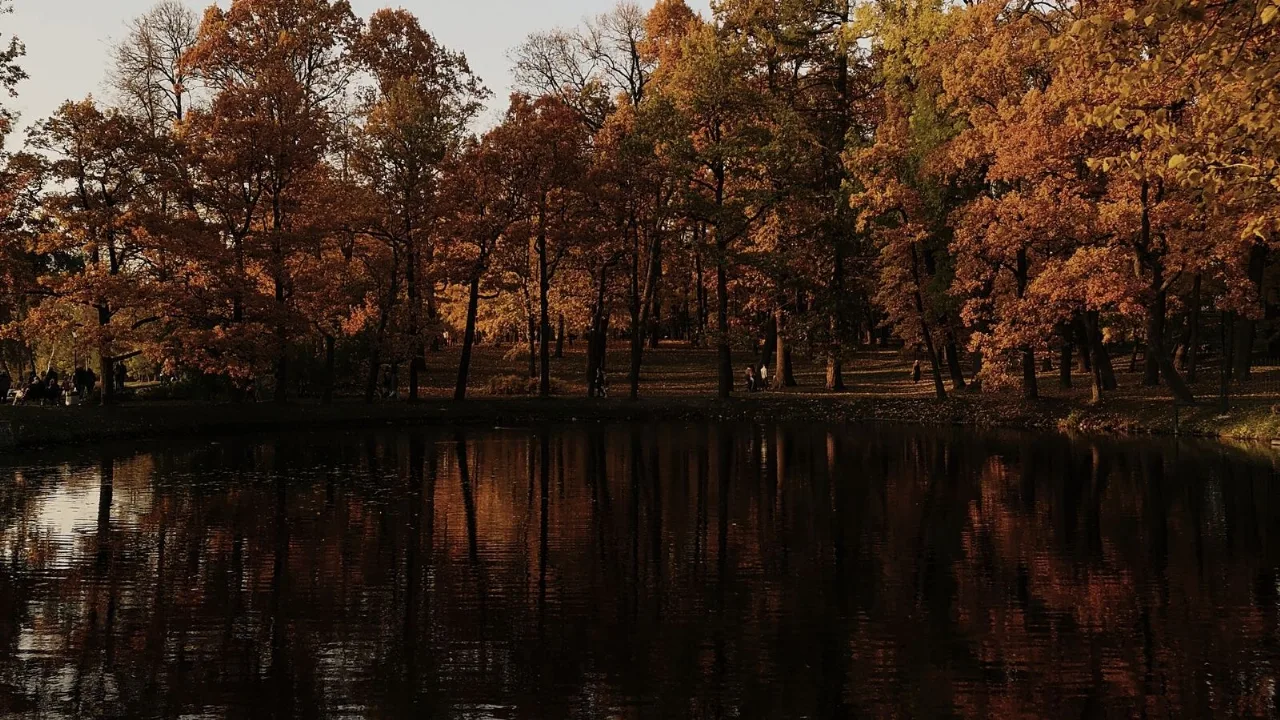 Autumn trees in warm brown reflected in the dark, still water of a lake.