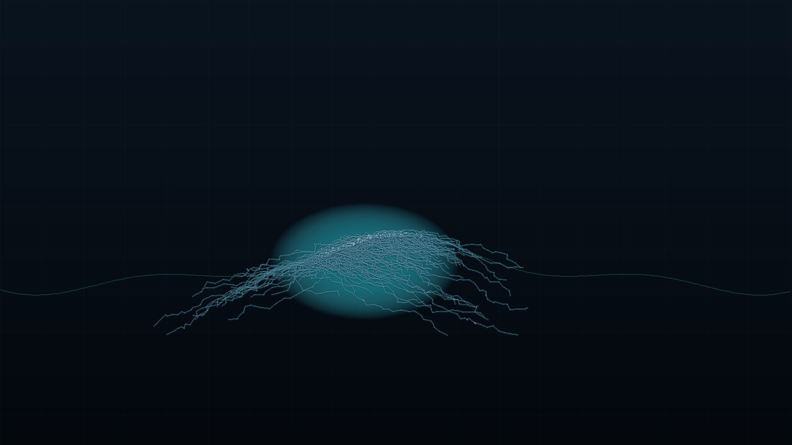 Many faint GPS routes overlaid on a dark map, a whole season of paddles gathered into one glowing tangle.