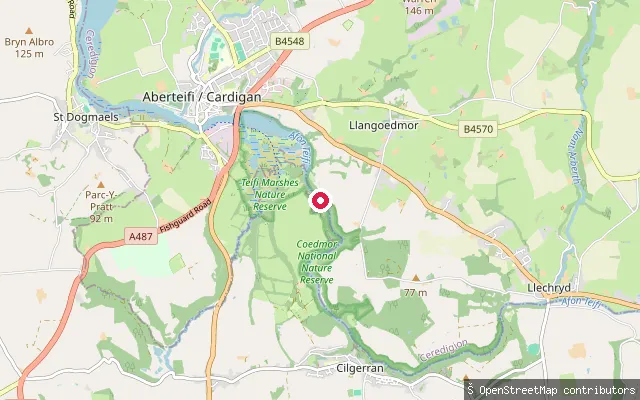 Cilgerran put-in (Bridell)